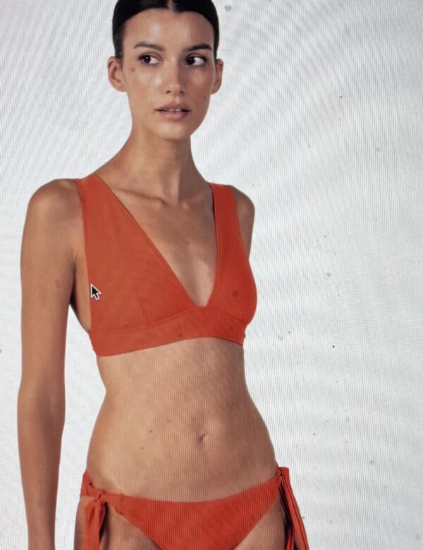 bikini triangle Eau swim